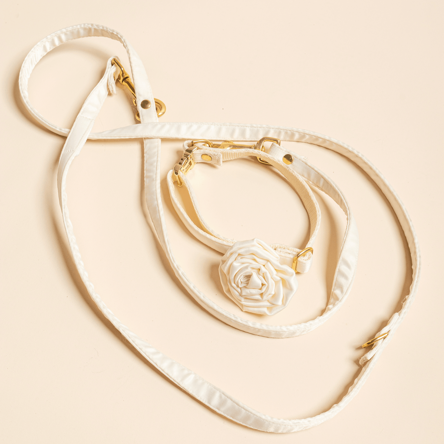 White leash
