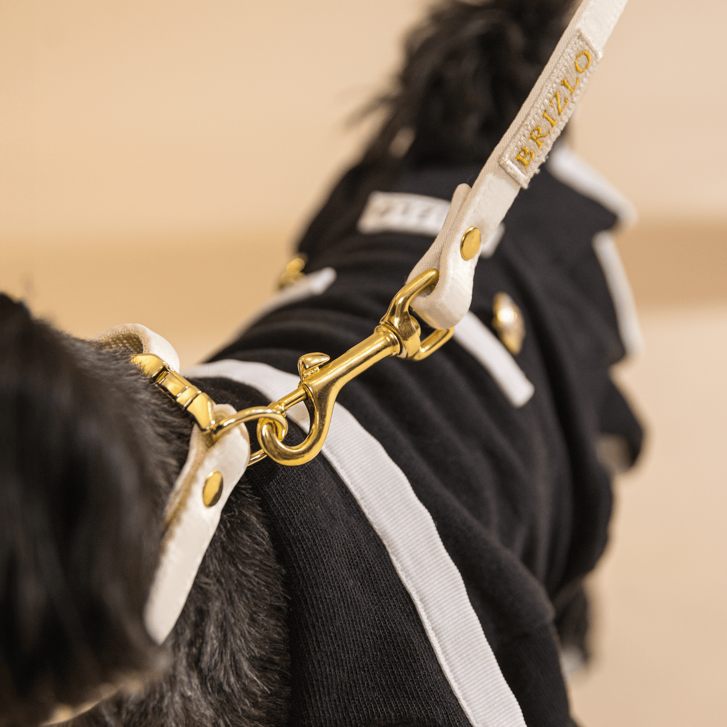 White leash