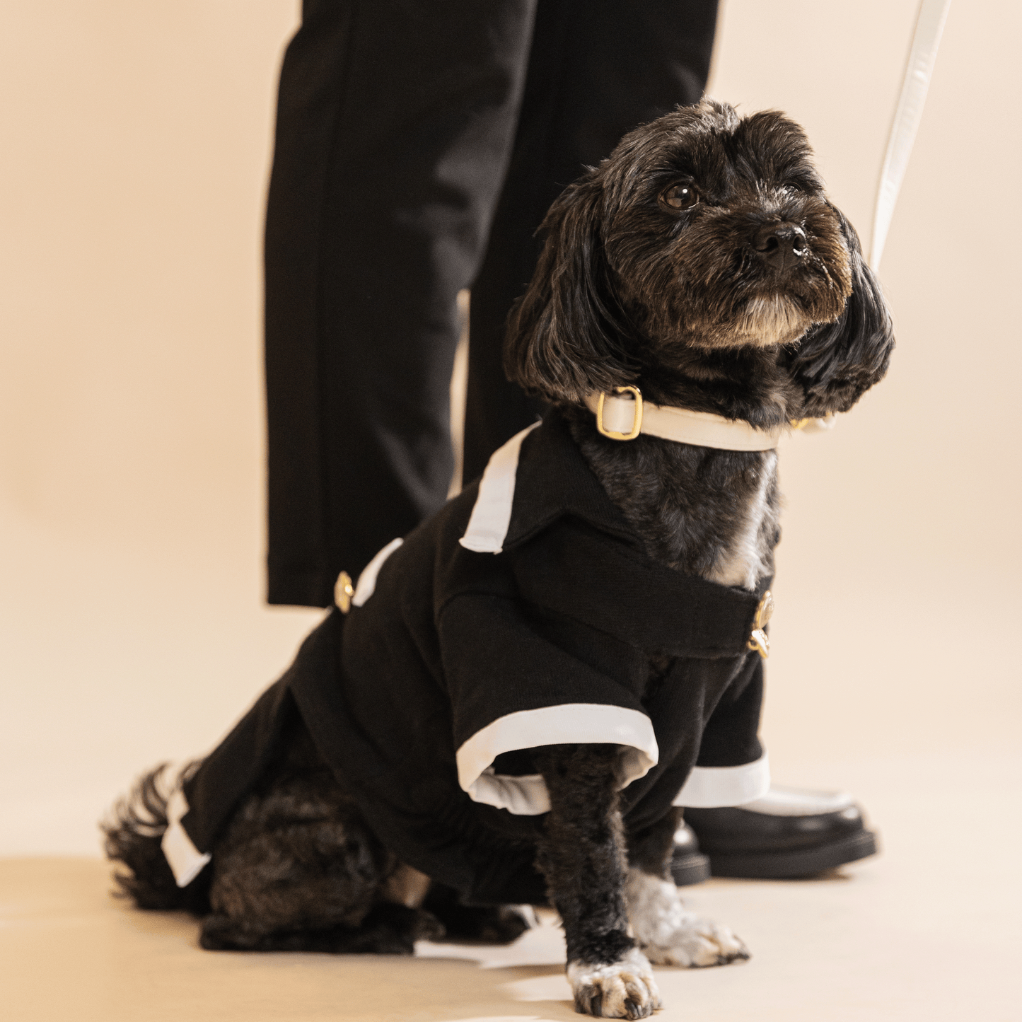 White leash