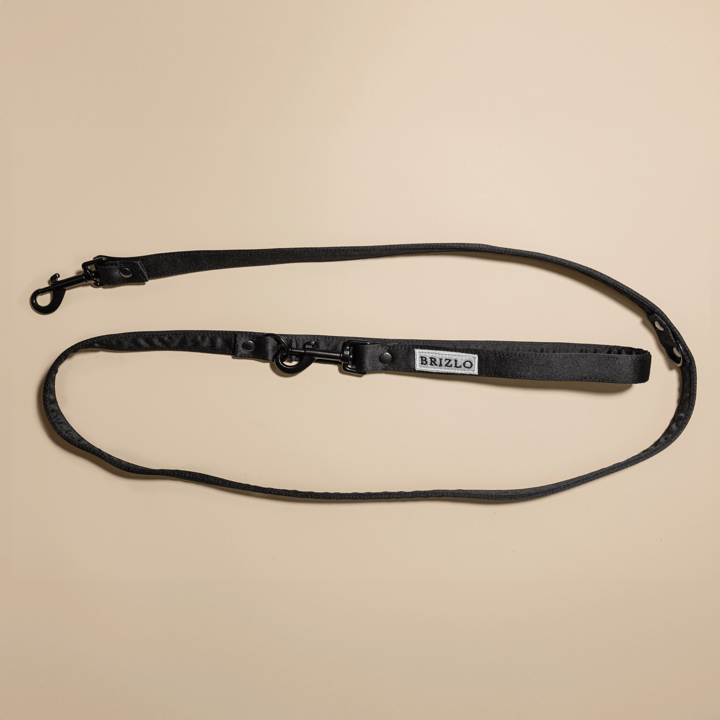 Black leash