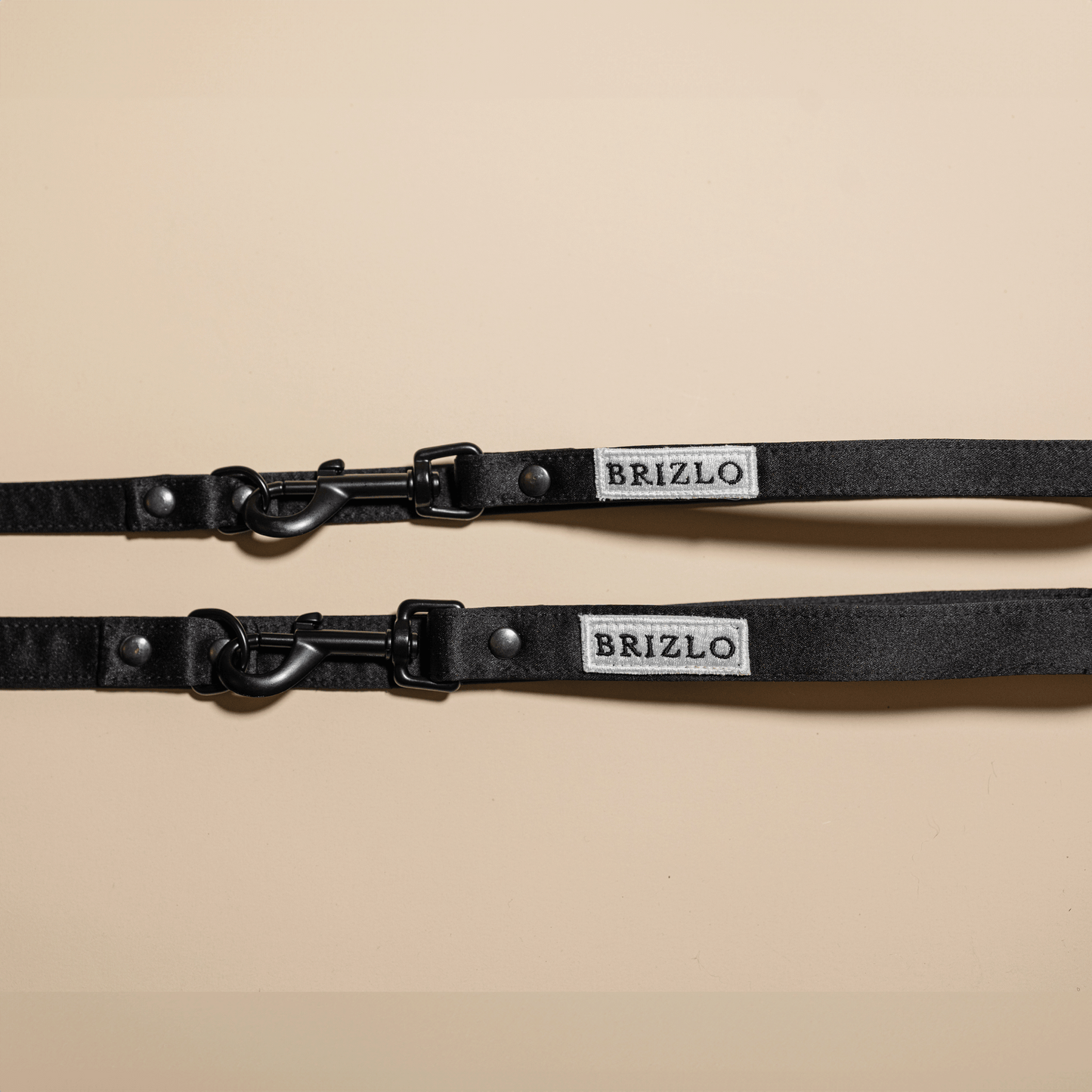 Black leash