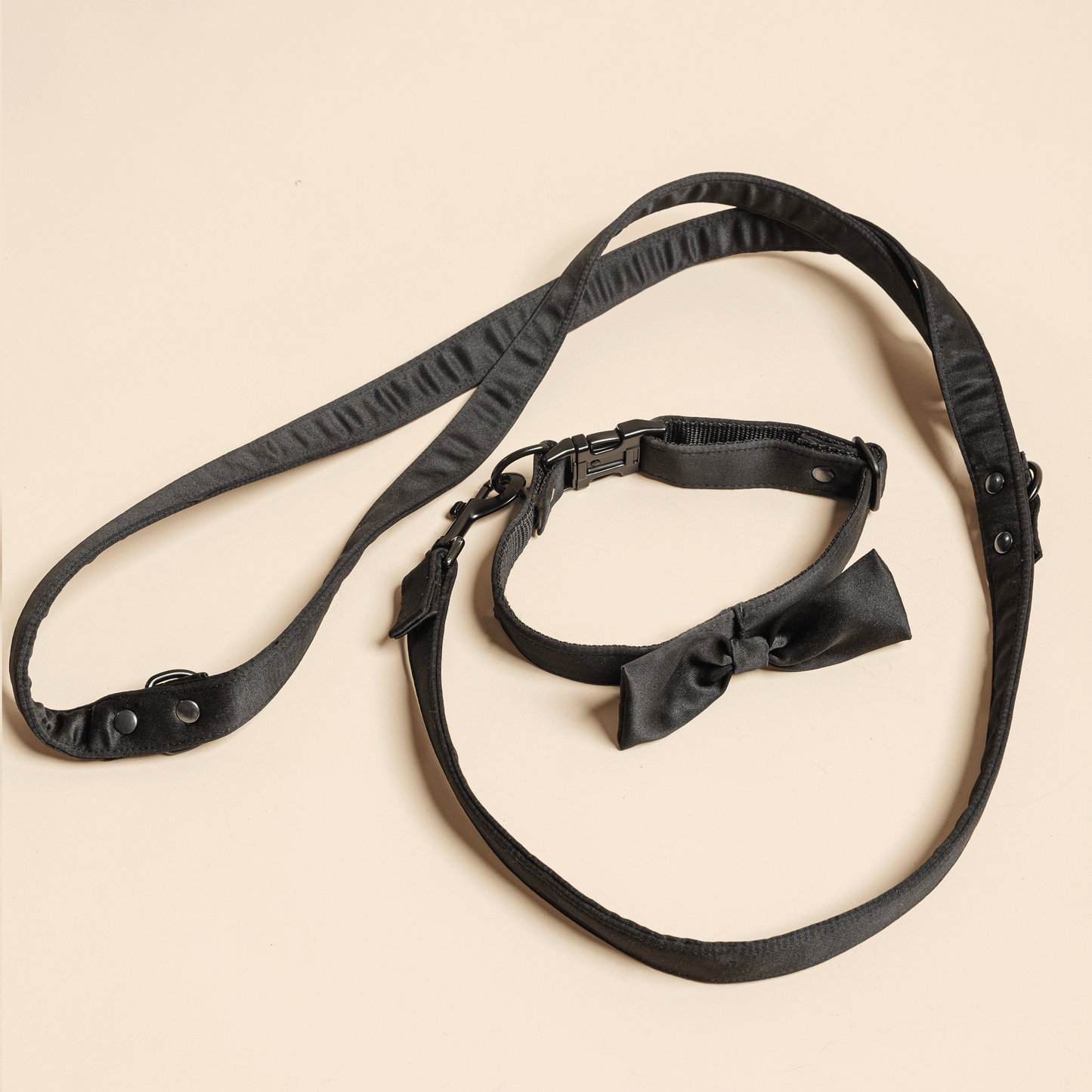 Black leash