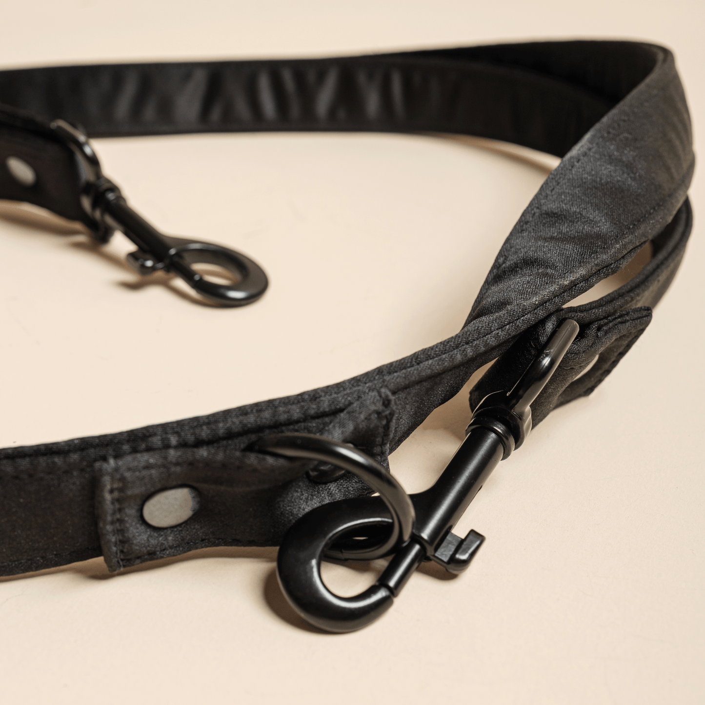 Black leash