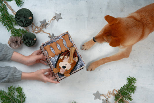 Kutyás karácsonyi ajándékötletek