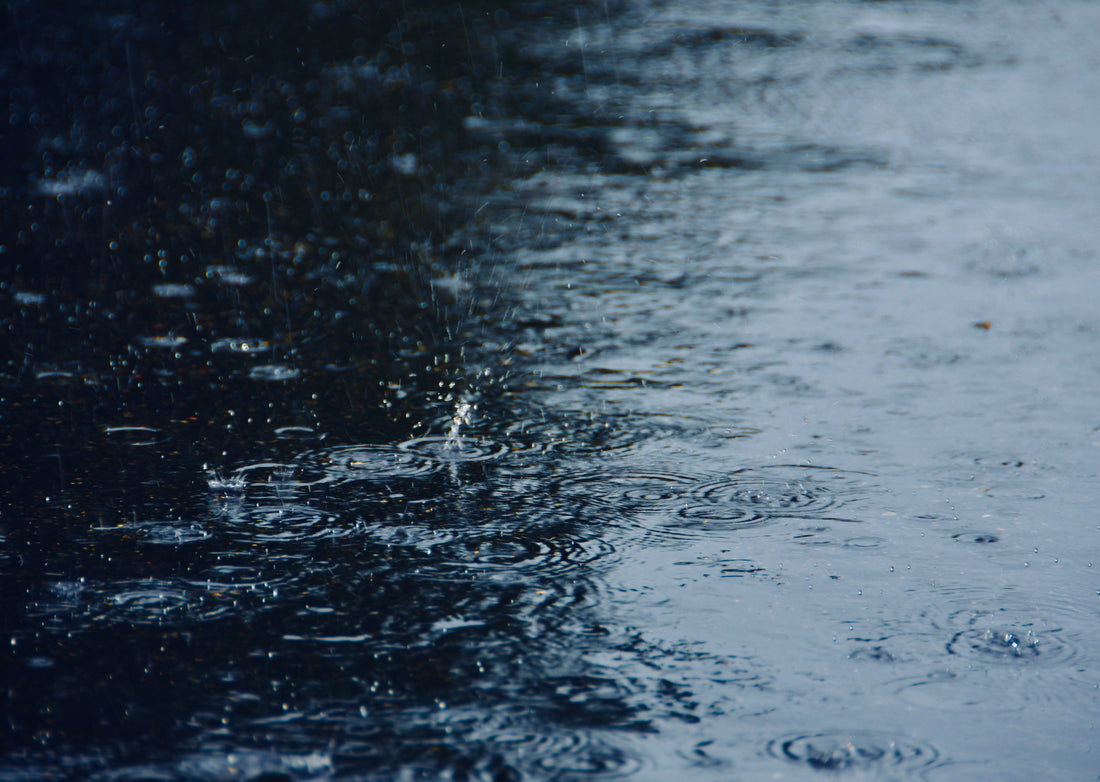 Kutya esőkabát – mert a séta esőben is jár