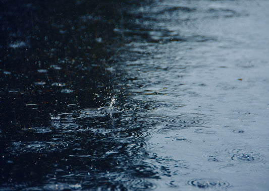 Kutya esőkabát – mert a séta esőben is jár