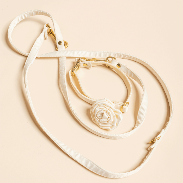 White leash