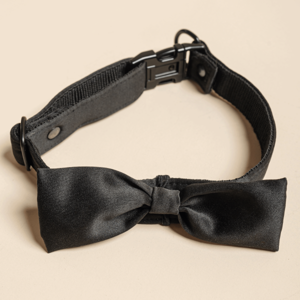 Black collar