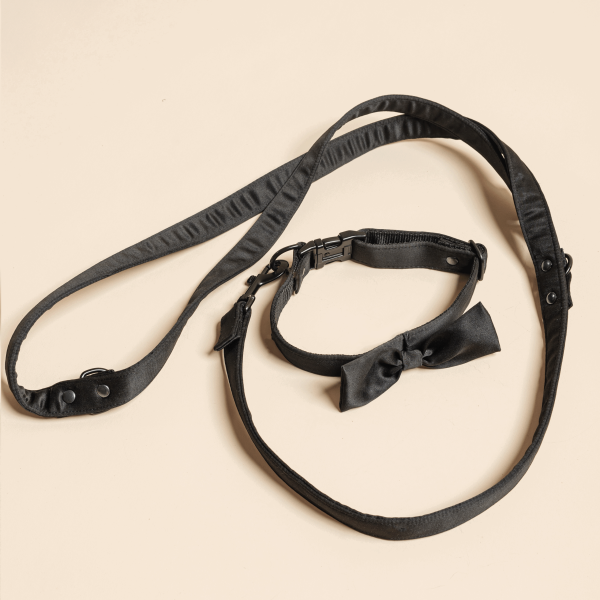 Black leash